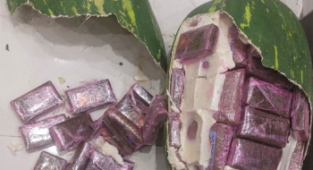 Des blocs de haschich dissimulés dans des coques en plastique imitant des pastèques, saisis par la police judiciaire de Tanger. Crédit : DGSN